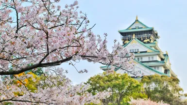 Japón