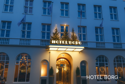 Hotel Borg