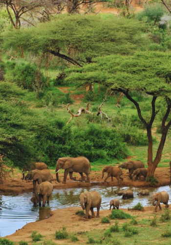 Una región de reservas privadas rodeadas de paisajes montañosos y vida salvaje diversa.